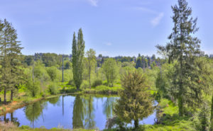 View 01